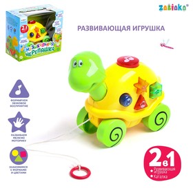 Музыкальная игрушка «Музыкальная черепашка», звук, свет, цвета МИКС в Донецке