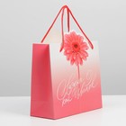 Пакет подарочный «Flower», 25 × 26 × 10 см 7150710