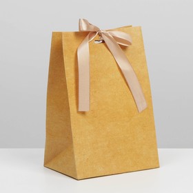 Пакет подарочный с лентой «Крафтовый», 13 × 19 × 9 см