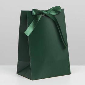Пакет подарочный с лентой «Изумрудный», 13 × 19 × 9 см