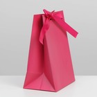 Пакет подарочный с лентой «Фуксия», 13 × 19 × 9 см - фото 800862518
