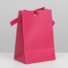Пакет подарочный с лентой «Фуксия», 13 × 19 × 9 см - фото 800862519