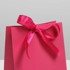 Пакет подарочный с лентой «Фуксия», 13 × 19 × 9 см - фото 800862520
