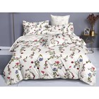 КПБ Pure Cotton 2 сп, размер 200x220 см, 175x215 см, 70x70 см-2 шт 7743140 - фото 8178795