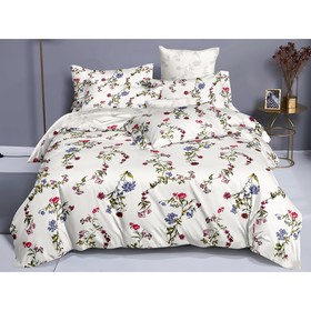 КПБ Pure Cotton 2 сп, размер 200x220 см, 175x215 см, 70x70 см-2 шт 7743140