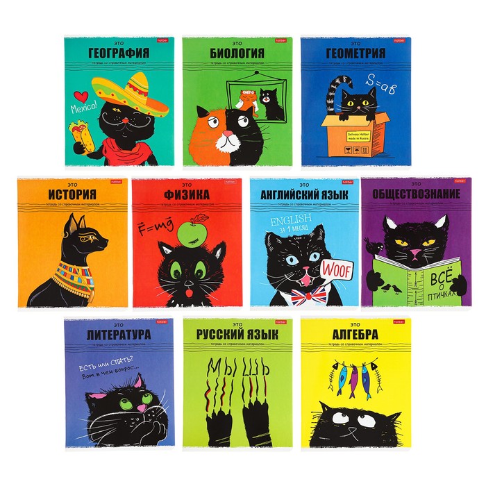 Комплект предметных тетрадей, 48 листов, 10 предметов, "Чёрный кот", мелованный картон, скруглённые углы - фото 6871047