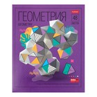 Тетрадь предметная Яркие предметы, 48 листов, клетка, Геометрия, мелованный картон - фото 7984990