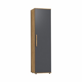 Шкаф для одежды и белья Crown 8, 560 × 400 × 2113 мм, цвет дуб золотистый / графит