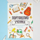 Портфолио в папке с креплением "Портфолио ученика начальной школы", 6 листов, 21,5х30 см 7561792 - фото 7260498