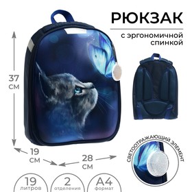 Рюкзак каркасный школьный, 37 х 28 х 19 см, Calligrata К "Котик"
