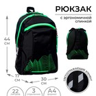 Рюкзак молодёжный, 44 х 30 х 17 см, эргономичная спинка, Calligrata К "Волны", чёрный/зеленый - фото 4762949