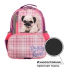 Рюкзак школьный, эргономичная спинка, "Степашка", 37 х 26 х 13 мм, "Мопсик" - фото 800884651