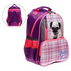 Рюкзак школьный, эргономичная спинка, "Степашка", 37 х 26 х 13 мм, "Мопсик" - фото 800884655