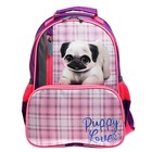 Рюкзак школьный, эргономичная спинка, "Степашка", 37 х 26 х 13 мм, "Мопсик" - фото 800884657