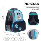 Рюкзак школьный, 37 х 26 х 13 см, эргономичная спинка, Calligrata ОРТ "Бульдог" - фото 1756915