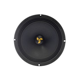 Акустическая система SWAT MAS-80Pro 8 Эстрадная СЧ, 200 Вт, набор 2 шт 7780510