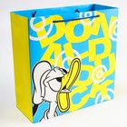 Пакет ламинат "Дональд", Микки Маус, 30 х 30 х 12 7425205