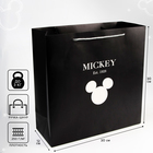 Пакет ламинат "Mickey & Co", Микки Маус, 30 х 30 х 12 7425219 - фото 752464