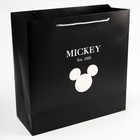 Пакет ламинат "Mickey & Co", Микки Маус, 30 х 30 х 12 7425219