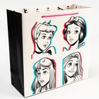 Пакет ламинат, Принцессы, 30 х 30 х 12 7425220