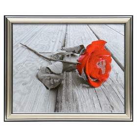 Картина  20х25 (22х27) см