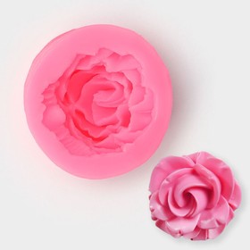 Mold silicon 4,5×2 cm Rosa