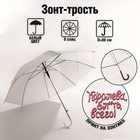 Зонт-трость "Королева, бл*ять, всего", 8 спиц, d = 91 см, цвет белый 7551490 - фото 5446738