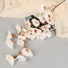 Цветы искусственные "Гелениум" 101 см, белый - фото 4734077