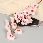 Цветы искусственные "Гелениум" 101 см, розовый - фото 4734079