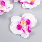 Бутон на ножке для декорирования "Орхидея бело-фиолетовая" d=5,5 см - фото 7845468