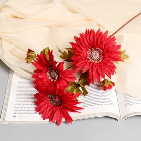 Цветы искусственные "Эхинацея" 58 см, красный (диам.цветка 12см)