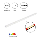 Фитосветильник светодиодный, 9 Вт, 572 мм, IP20, полный спектр, бело-красный, «ЭРА» 7790555