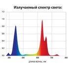 Фитопанель светодиодная, полный спектр, 36 Вт, панель, 31х31х1,2 см 7790560