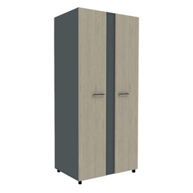 Шкаф для одежды «Формат», 900 × 600 × 1980 мм, цвет пикар / тёмно-серый