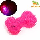 Игрушка для собак "Светящаяся кость", TPR, 10,5 см, розовая - фото 800894955
