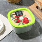 Контейнер прямоугольный пластиковый 0,5 л "Люби,живи,расцветай" - фото 800960364