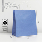 Пакет крафтовый «Blue», 22 × 25 × 12 см - фото 6862493