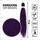 SIM-BRAIDS Канекалон однотонный, гофрированный, 65 см, 90 гр, цвет фиолетовый(#IlI PUR) - фото 4879825