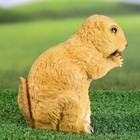 Садовая фигура "Бурундук с орешком" 17см - фото 800974559