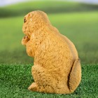 Садовая фигура "Бурундук с орешком" 17см - фото 800974560