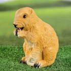 Садовая фигура "Бурундук с орешком" 17см - фото 800974561