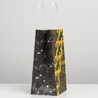 Пакет  крафтовый «Родина», 12 × 21 × 9 см 7030737