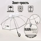 Зонт-купол "RAINимая душа", 8 спиц, d = 88 см, прозрачный 7532617 - фото 6870583