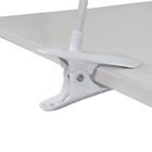 Фитосветильник светодиодный Ritter, T5, 10Вт, 572 мм, IP20, на прищепке, красно-синий спектр 7779666