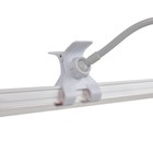 Фитосветильник светодиодный Ritter, T5, 10Вт, 572 мм, IP20, на прищепке, красно-синий спектр 7779666