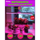 Фитосветильник светодиодный Ritter, T5, 10Вт, 572 мм, IP20, на прищепке, красно-синий спектр 7779666