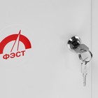 Аптечка для оказания первой помощи работникам ФЭСТ, металлический шкаф 380х160х300 мм, приказ 1331н 7782195 Аптечка для оказания первой помощи работникам ФЭСТ, металлический шкаф 380х160х300 мм, приказ 1331н 7782195