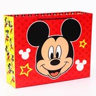 Пакет ламинат горизонтальный, Микки Маус,  50 х 40 х 15 7425199