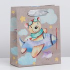 Пакет крафтовый вертикальный «Малышам», S 12 × 15 × 5.5 см 7303764