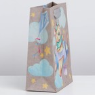 Пакет крафтовый вертикальный «Малышам», S 12 × 15 × 5.5 см 7303764